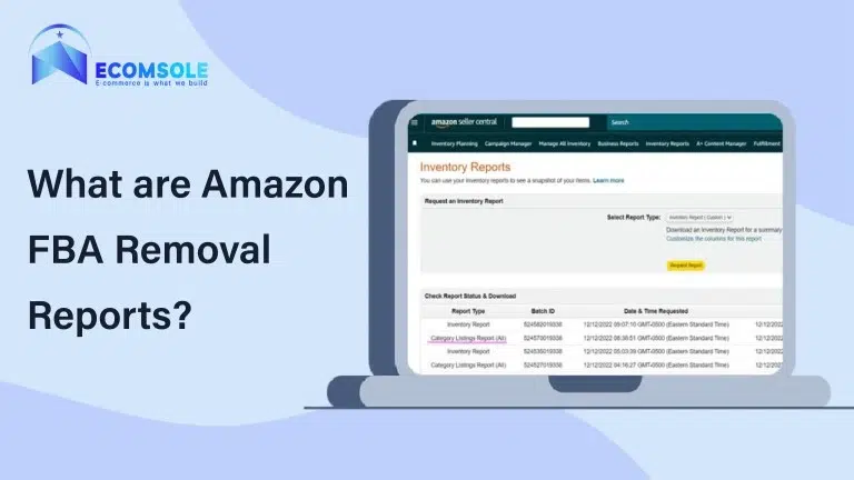 What are Amazon FBA Removal Reports