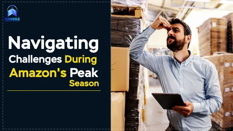 Navigating Challenges During Amazon's Peak Season